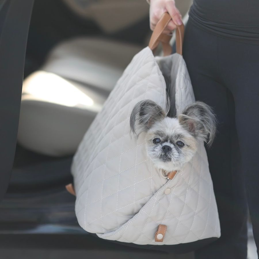 Beige 3-in-1 Pet Carrier